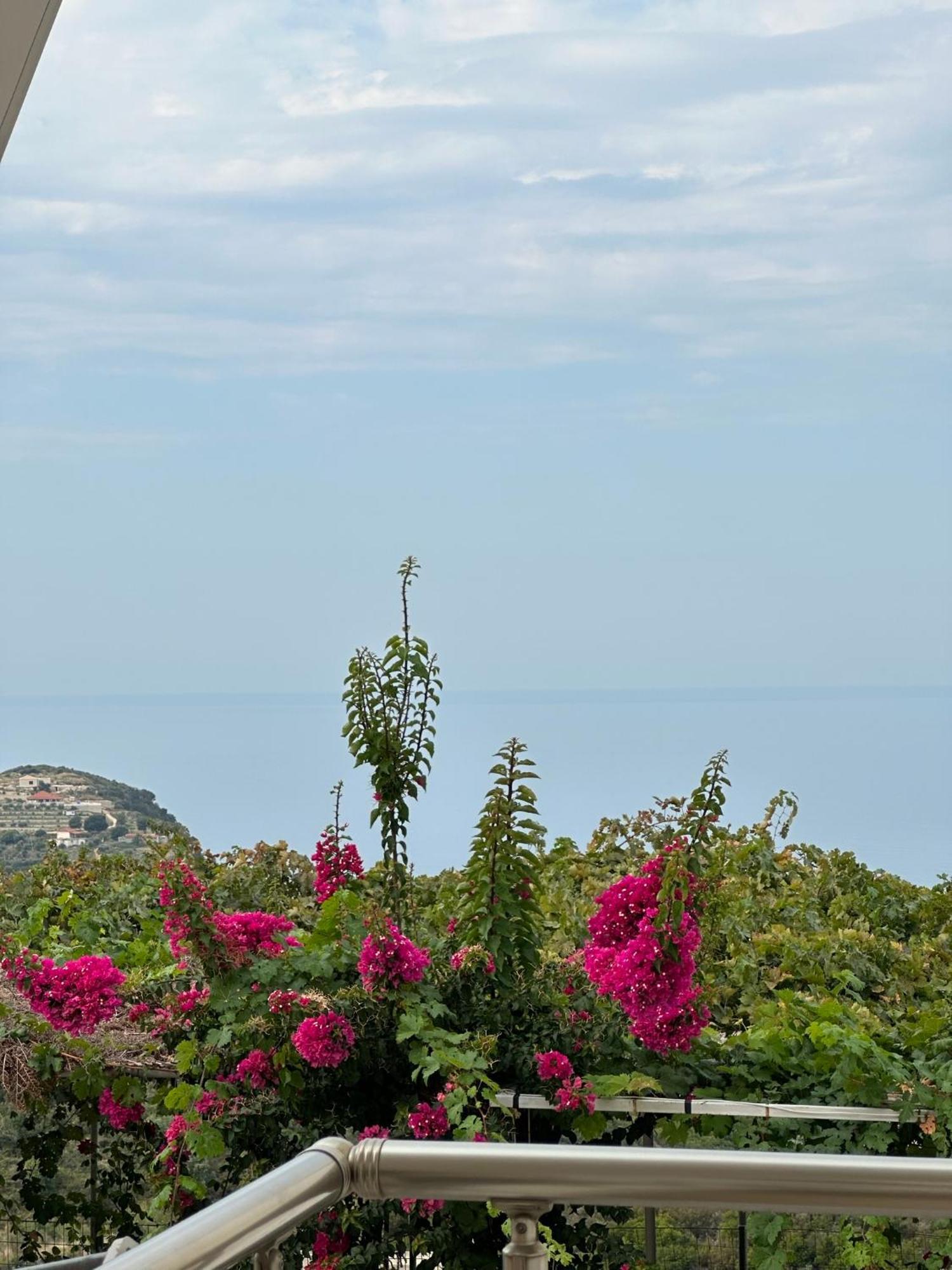 Elea Guesthouse Himare Buitenkant foto