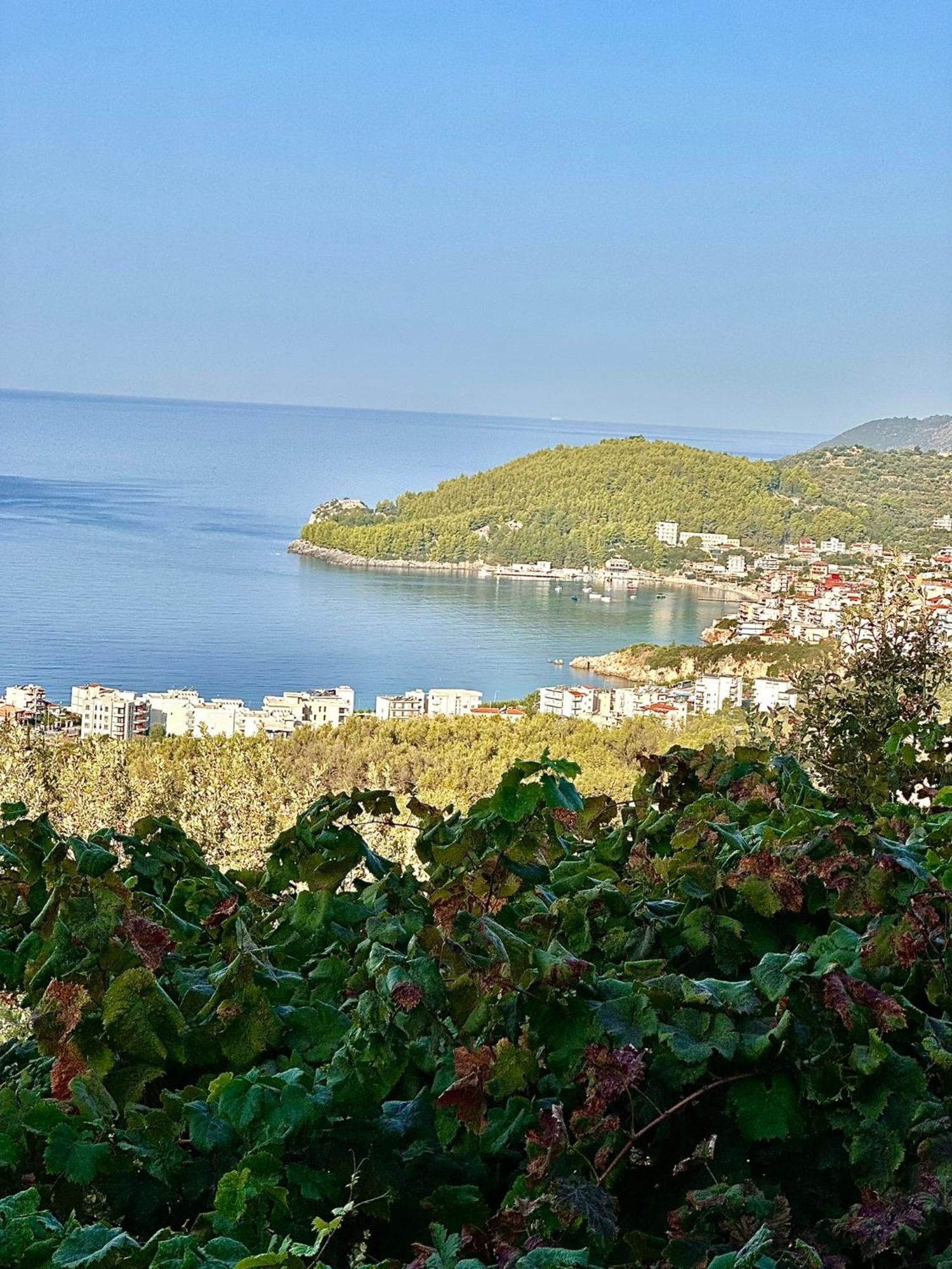 Elea Guesthouse Himare Buitenkant foto