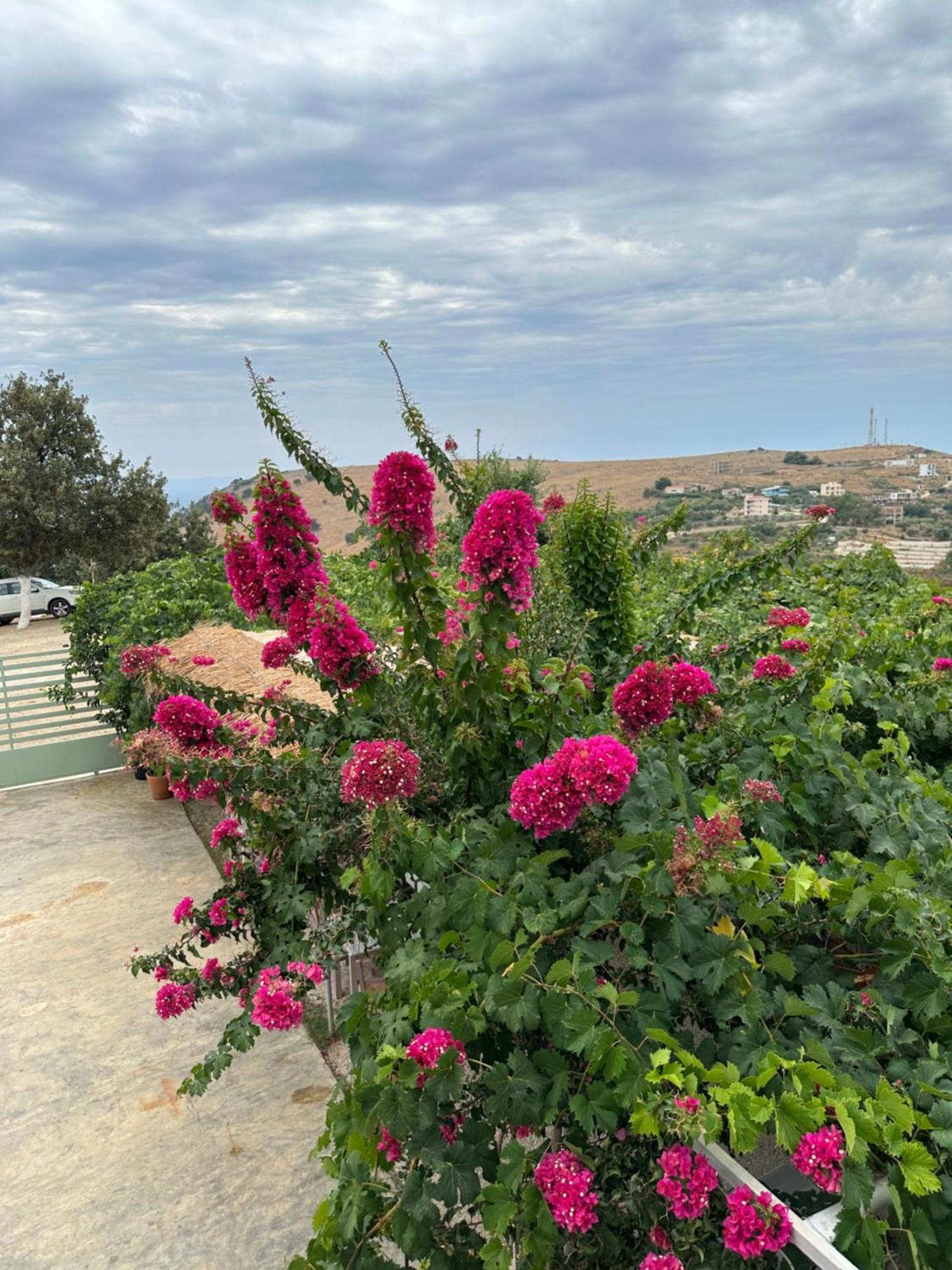 Elea Guesthouse Himare Buitenkant foto