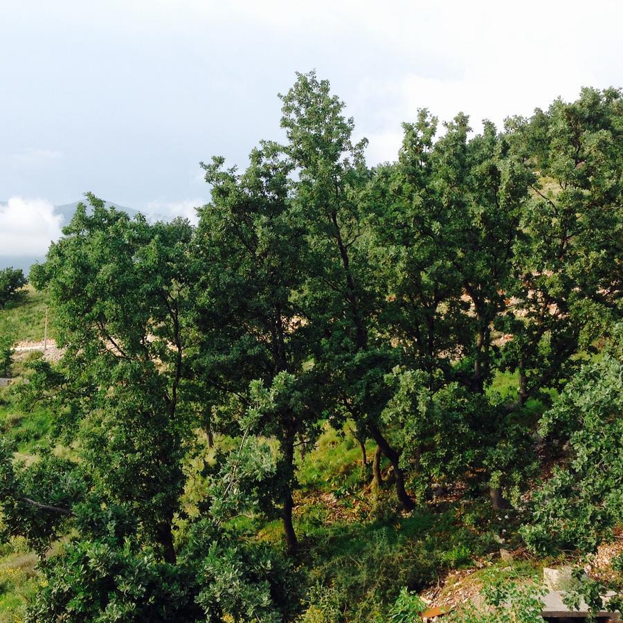 Elea Guesthouse Himare Buitenkant foto